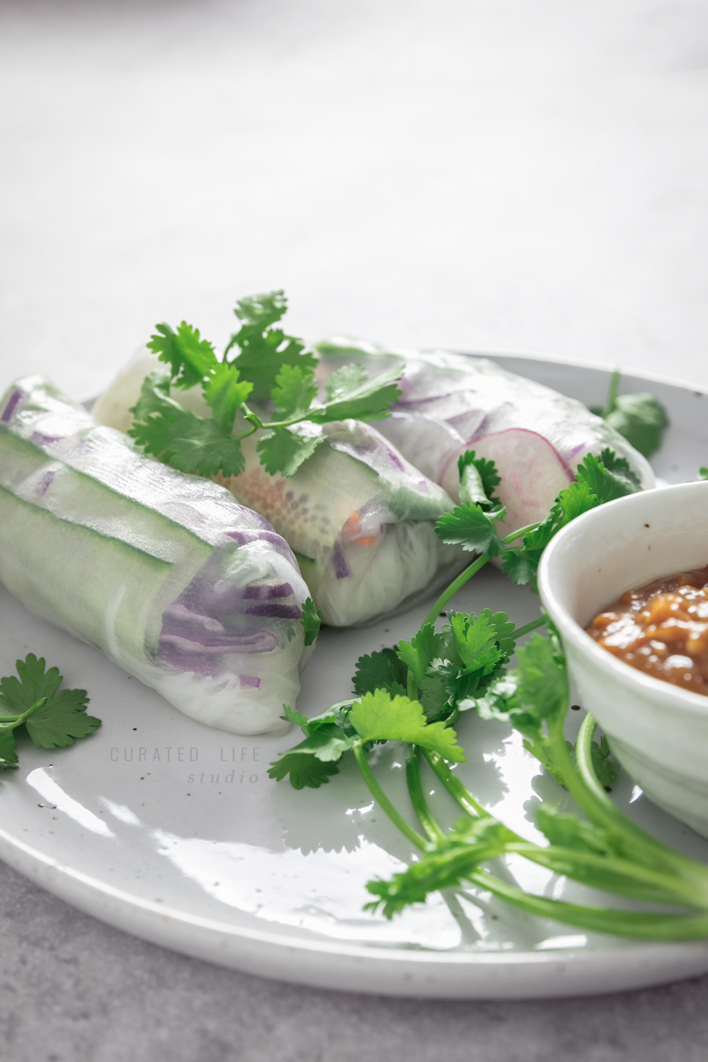 A macro view of Fresh Spring Rolls and coriander as if you were holding the plate to your eyes. 

#Vietnamese #Healthy #Peanut #Dipping #Sauce #Vegetarian #Vegan #Gluten-free #Tofu #Recipe #Rice #Paper #Spring #Rolls #Fresh